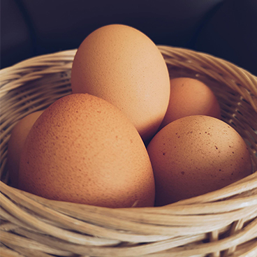 Local Hydroponic Tomato & Poultry Farm in Sefikile Village